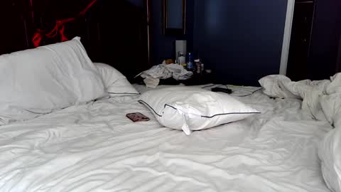 Vera online show from 05/01/26, 01:59