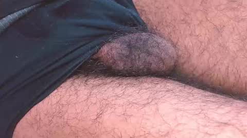 Prince online show from 01/08/26, 04:53