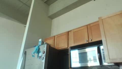 Snapshot of xxxdanidoomsdayxxx chatting on 12/03/25, 08:29 Danielle online show from 12/03/25, 08:29