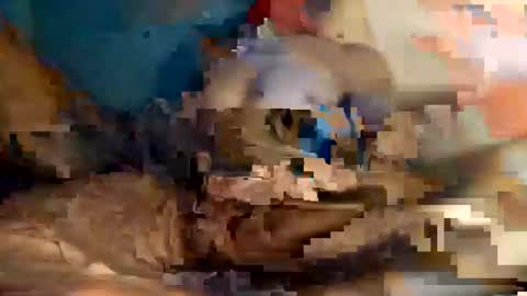 Snapshot of xxxdarknagician81 chatting on 09/21/25, 03:13 xxxdarknagician81 online show from 09/21/25, 03:13