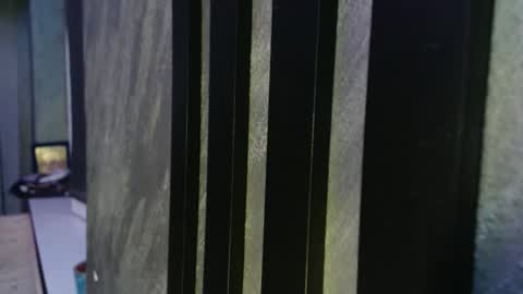 xxxdonpuiuuxxx online show from 02/17/26, 09:21