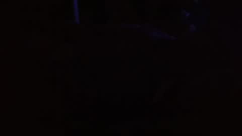 Snapshot of xxxjrstrokesxxx chatting on 03/11/26, 08:42 xxxjrstrokesxxx online show from 03/11/26, 08:42