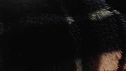 Snapshot of xxxking89 chatting on 12/14/24, 05:36 xxxking89 online show from 12/14/24, 05:36