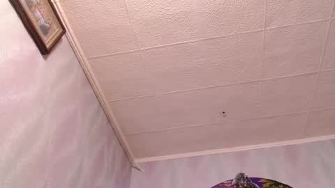 Snapshot of xxxkinkycpl chatting on 12/20/24, 08:49 isa and gonzo online show from 12/20/24, 08:49