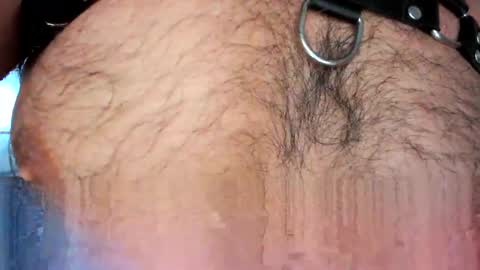 Snapshot of xxxotter chatting on 05/04/26, 12:12 xxxotter online show from 05/04/26, 12:12