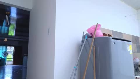 Snapshot of xxxtatianabustyxxx chatting on 09/26/25, 06:01 xxxtatianabustyxxx online show from 09/26/25, 06:01