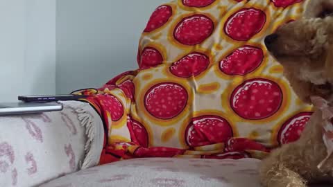 Snapshot of xxxtonymxxx chatting on 01/26/25, 05:13 TonyDoesMiami online show from 01/26/25, 05:13