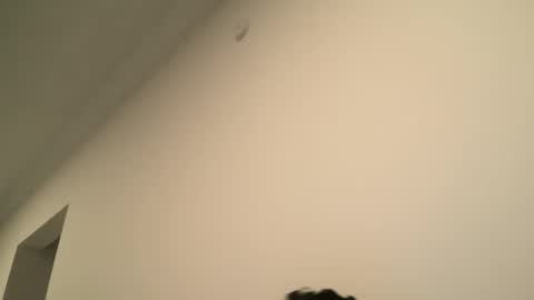 Snapshot of yacout87 chatting on 02/15/25, 06:55 Dick Ass online show from 02/15/25, 06:55