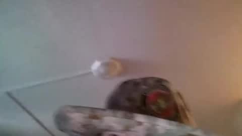 Snapshot of yahushuaha chatting on 09/09/25, 07:13 yahushuaha online show from 09/09/25, 07:13