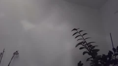 yakijoe online show from 11/06/25, 10:43