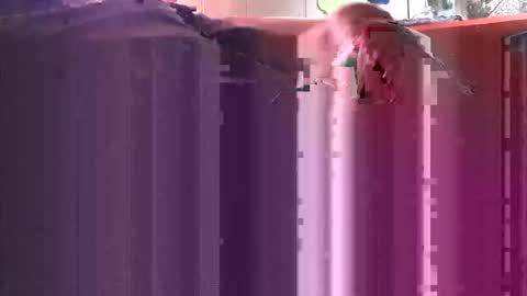 yangolox3 online show from 10/04/25, 05:00