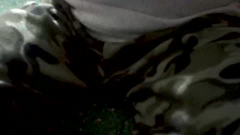 Snapshot of yankee85 chatting on 02/01/26, 05:28 Yankee online show from 02/01/26, 05:28