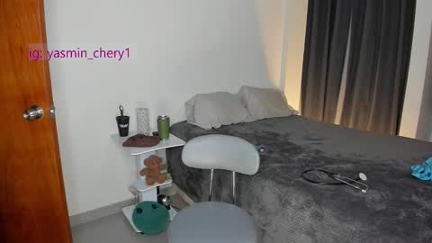 Snapshot of yasmin_chery chatting on 01/12/26, 10:48 sami online show from 01/12/26, 10:48