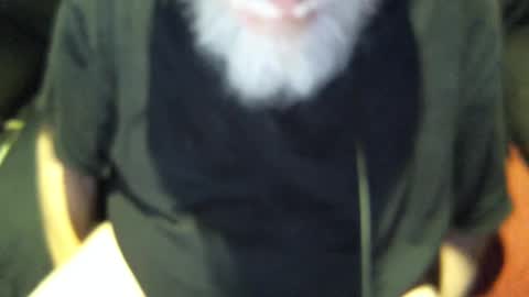 .     y e l l o w s n a k e s       . online show from 09/30/25, 07:57