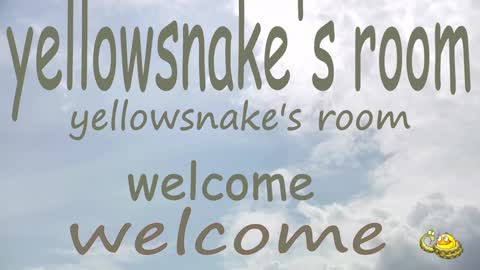 .     y e l l o w s n a k e s       . online show from 09/30/25, 10:37