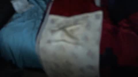 .     y e l l o w s n a k e s       . online show from 11/03/25, 10:16