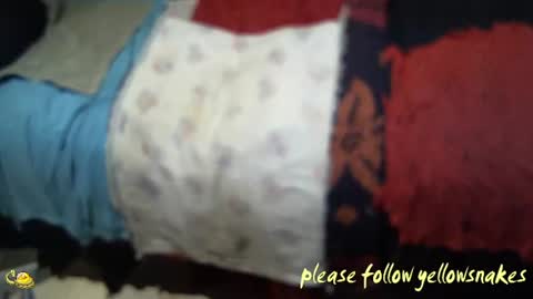 .     y e l l o w s n a k e s       . online show from 11/07/25, 02:28