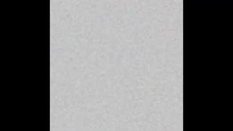 .     y e l l o w s n a k e s       . online show from 11/20/25, 03:50