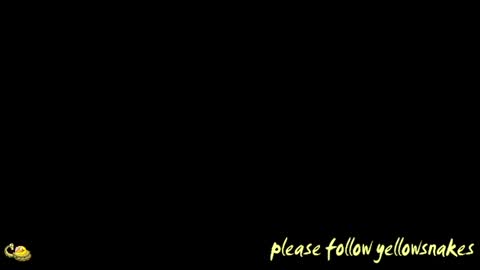.     y e l l o w s n a k e s       . online show from 12/02/25, 12:43