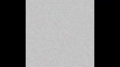 .     y e l l o w s n a k e s       . online show from 12/04/25, 04:05