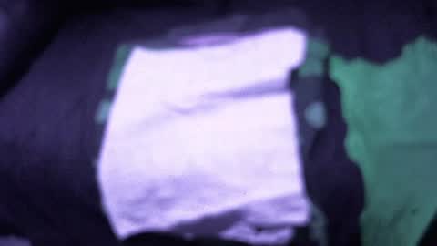 .     y e l l o w s n a k e s       . online show from 12/15/25, 04:00