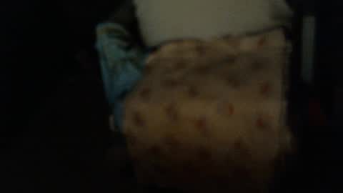 .     y e l l o w s n a k e s       . online show from 01/06/26, 09:24