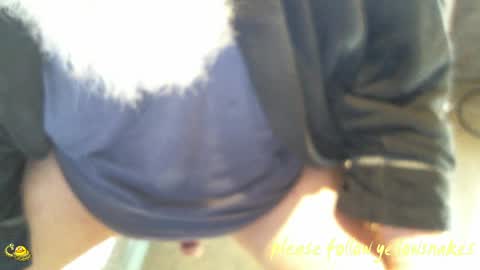Snapshot of yellowsnakes chatting on 04/26/26, 07:22 . y e l l o w s n a k e s . online show from 04/26/26, 07:22
