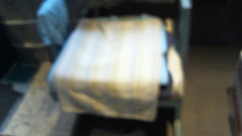 Snapshot of yellowsnakes chatting on 05/01/26, 02:21 . y e l l o w s n a k e s . online show from 05/01/26, 02:21