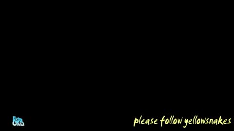 Snapshot of yellowsnakes chatting on 05/12/26, 05:10 . y e l l o w s n a k e s . online show from 05/12/26, 05:10