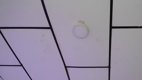 Snapshot of yemfairymcry chatting on 12/02/24, 01:35 YEM online show from 12/02/24, 01:35