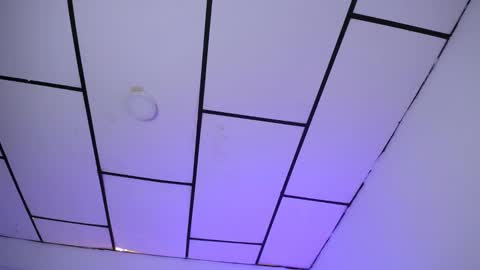 Snapshot of yemfairymcry chatting on 01/08/25, 07:45 YEM online show from 01/08/25, 07:45