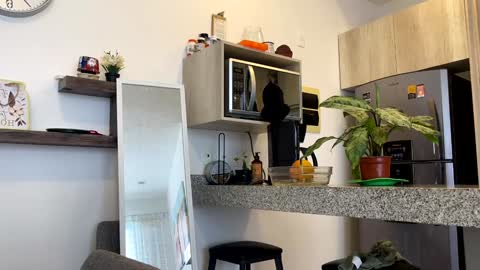 Zlata online show from 02/02/25, 10:28