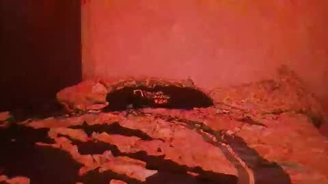 Snapshot of yeshuaaa999 chatting on 11/26/25, 08:37 yeshuaaa999 online show from 11/26/25, 08:37