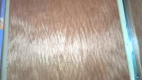 yhang_slut online show from 11/30/25, 07:34