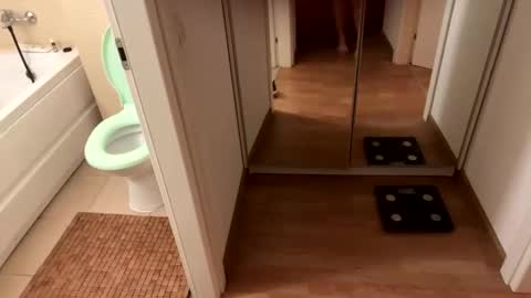 yonise909383 online show from 02/03/25, 12:36