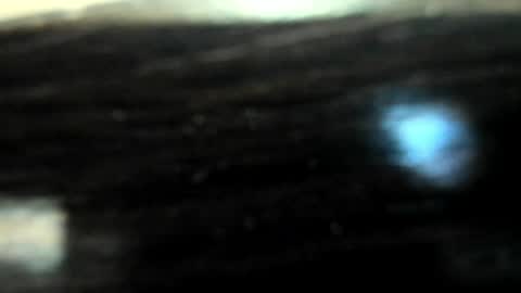 Snapshot of yoonhee_ki chatting on 04/05/26, 02:47 yoonhee_ki online show from 04/05/26, 02:47