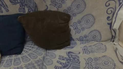 Snapshot of yosoyplex91 chatting on 01/11/26, 11:54 AlexBlack online show from 01/11/26, 11:54