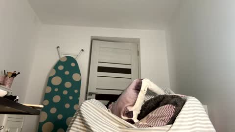 Snapshot of you_love_melisa chatting on 01/09/25, 08:44 private on 18 per minute start private 500 tokensOnlyfans online show from 01/09/25, 08:44