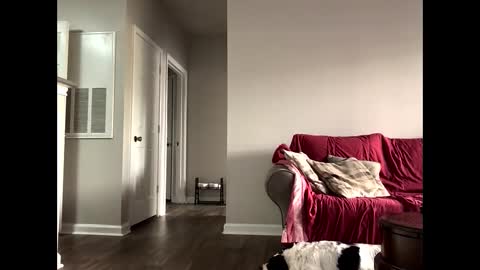 Snapshot of youneverknowimight2 chatting on 10/14/25, 06:09 kindahorny online show from 10/14/25, 06:09