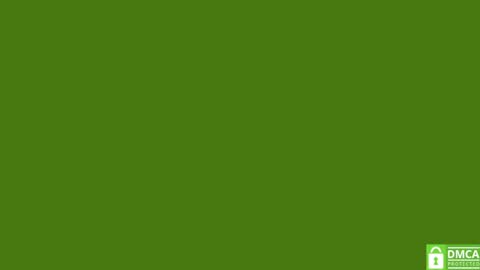 Pipo online show from 09/19/25, 01:34