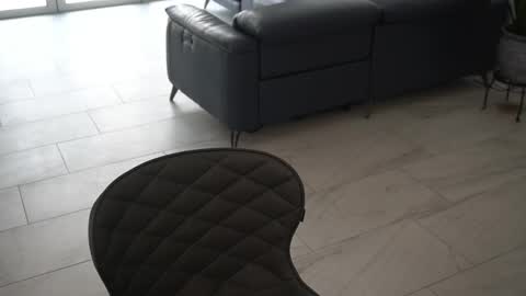 Snapshot of your_ice_cream chatting on 03/04/25, 07:11 Siebel. online show from 03/04/25, 07:11