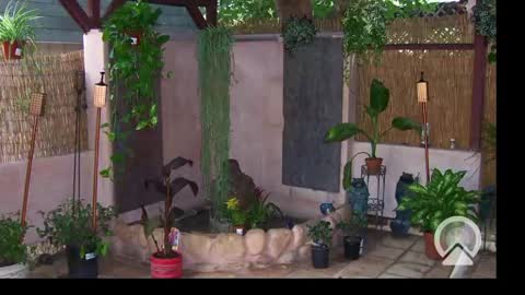 Snapshot of your_king_of_hearts chatting on 02/24/25, 10:26 Sophiestar online show from 02/24/25, 10:26