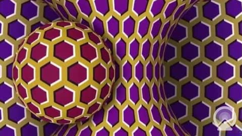 Snapshot of your_king_of_hearts chatting on 02/28/25, 10:41 Sophiestar online show from 02/28/25, 10:41