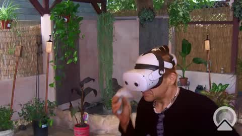 Snapshot of your_king_of_hearts chatting on 03/01/25, 08:56 Sophiestar online show from 03/01/25, 08:56