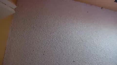 Snapshot of your_king_of_hearts chatting on 03/05/26, 07:21 Sophiestar online show from 03/05/26, 07:21