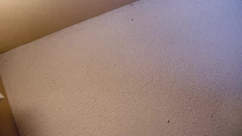 Snapshot of your_king_of_hearts chatting on 04/21/26, 07:36 Sophiestar online show from 04/21/26, 07:36