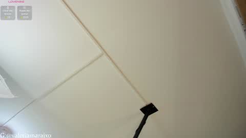 Snapshot of your_naughtytrans chatting on 01/25/25, 09:14 SASKYA VALERIA online show from 01/25/25, 09:14