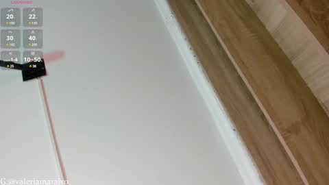 Snapshot of your_naughtytrans chatting on 02/01/25, 09:29 SASKYA VALERIA online show from 02/01/25, 09:29