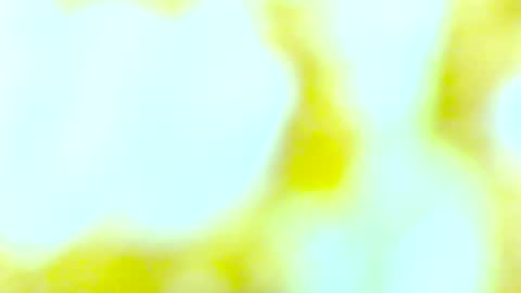 Snapshot of yourmynorthstar chatting on 10/13/25, 09:48 Edging4U online show from 10/13/25, 09:48