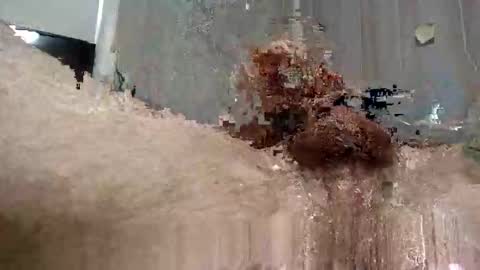 Snapshot of yourwishismypleasure1 chatting on 11/17/25, 08:47 yourwishismypleasure1 online show from 11/17/25, 08:47